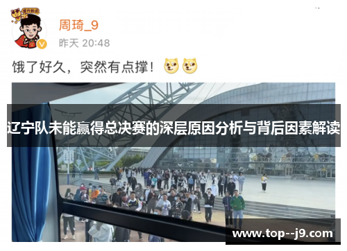 辽宁队未能赢得总决赛的深层原因分析与背后因素解读