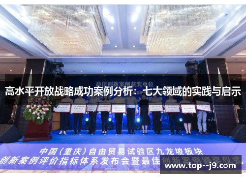 高水平开放战略成功案例分析：七大领域的实践与启示