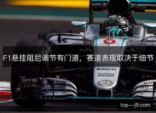 F1悬挂阻尼调节有门道，赛道表现取决于细节